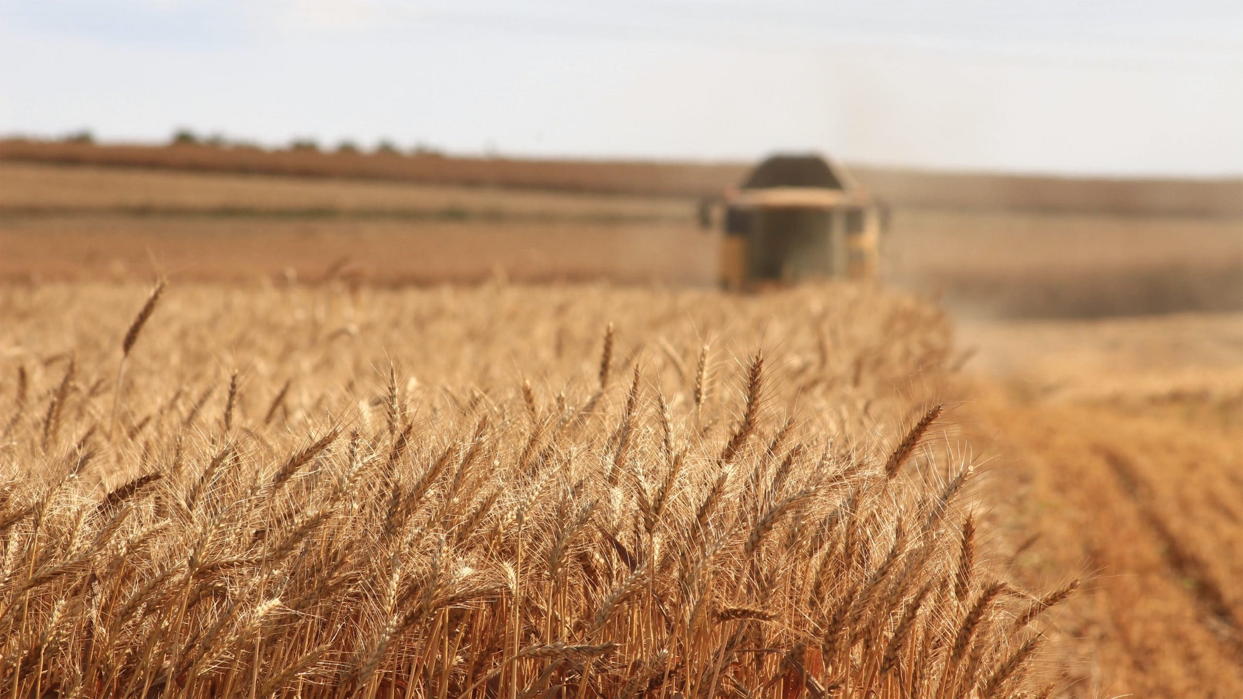 Global agricultural commercial strategy session